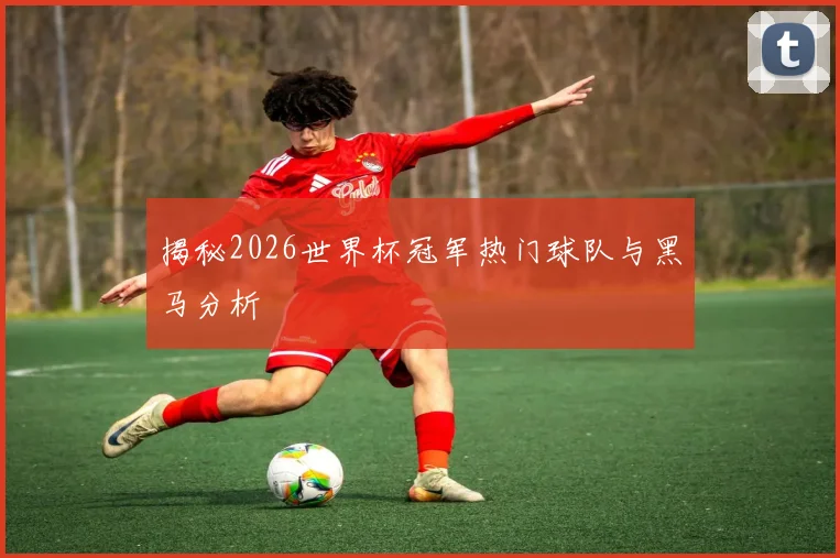 揭秘2026世界杯冠军热门球队与黑马分析