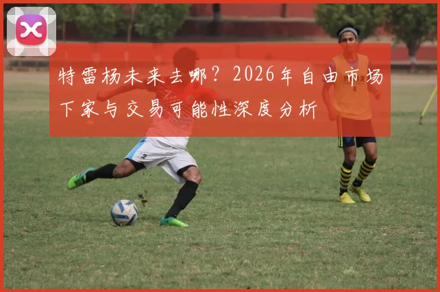 特雷杨未来去哪?2026年自由市场下家与交易可能性深度分析