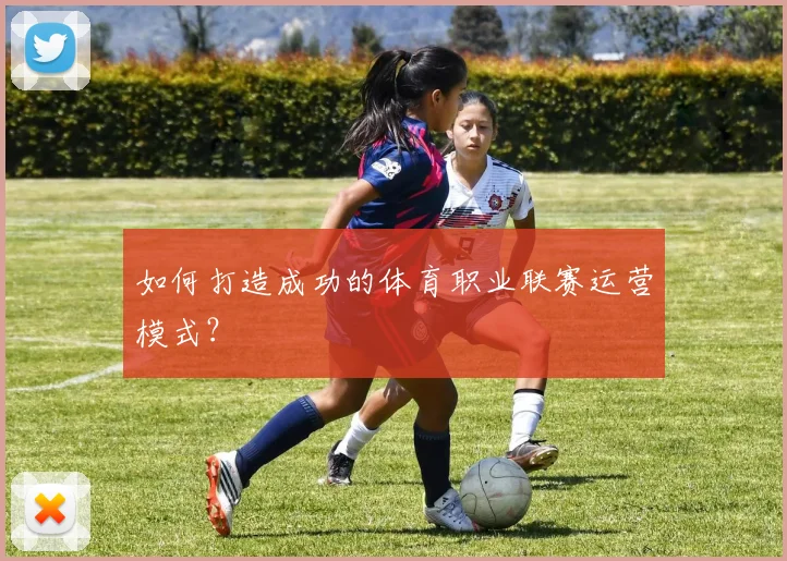 如何打造成功的体育职业联赛运营模式?